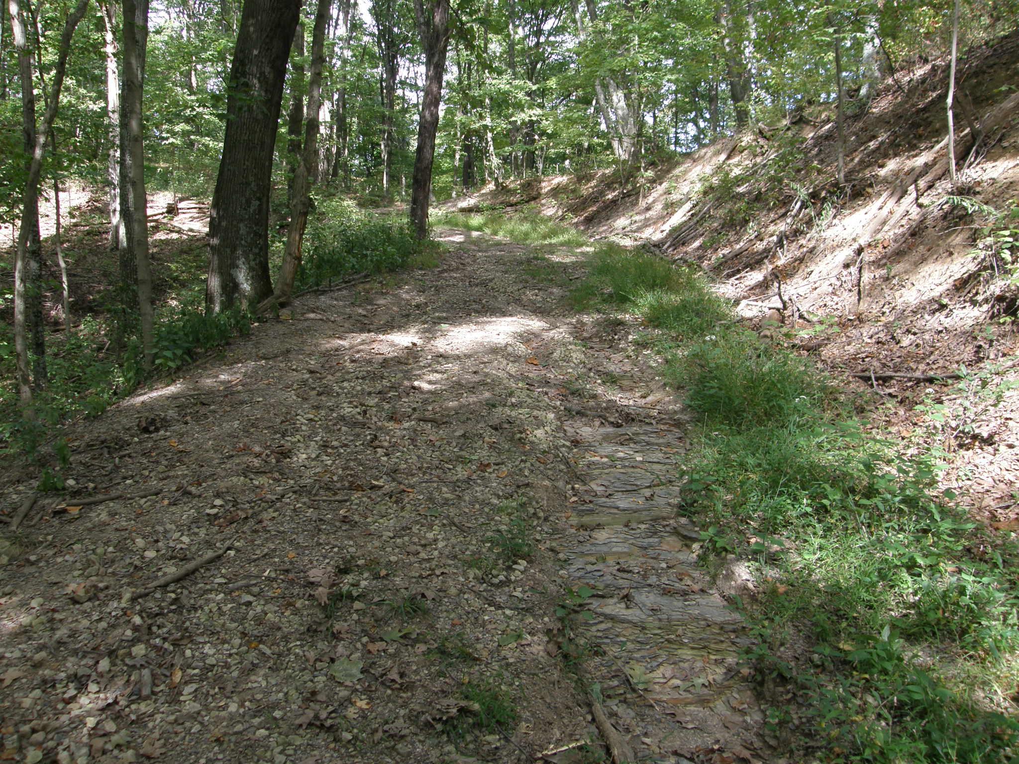 Spruce Hill trail
