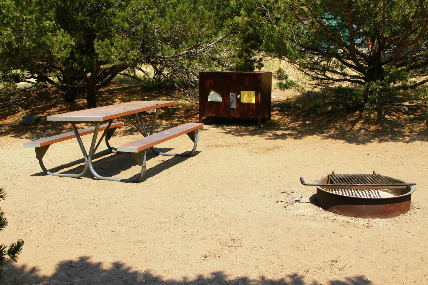Closeup view of site #48 tent pad, fire ring, picnic table, and bear box.Site #48, Pinon Flats Campground