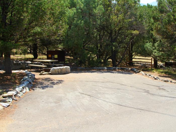 View of Site #51 parking pad and tent site, with picnic table, fire ring and bear box. Site is surrounded by pine trees.Site #51, Pinon Flats Campground