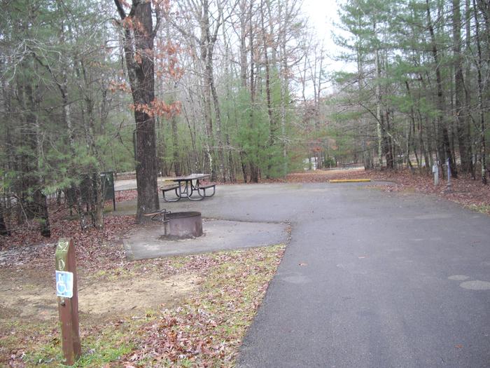 D052D052  is an accessible site located across from bath house at entrance to D Loop