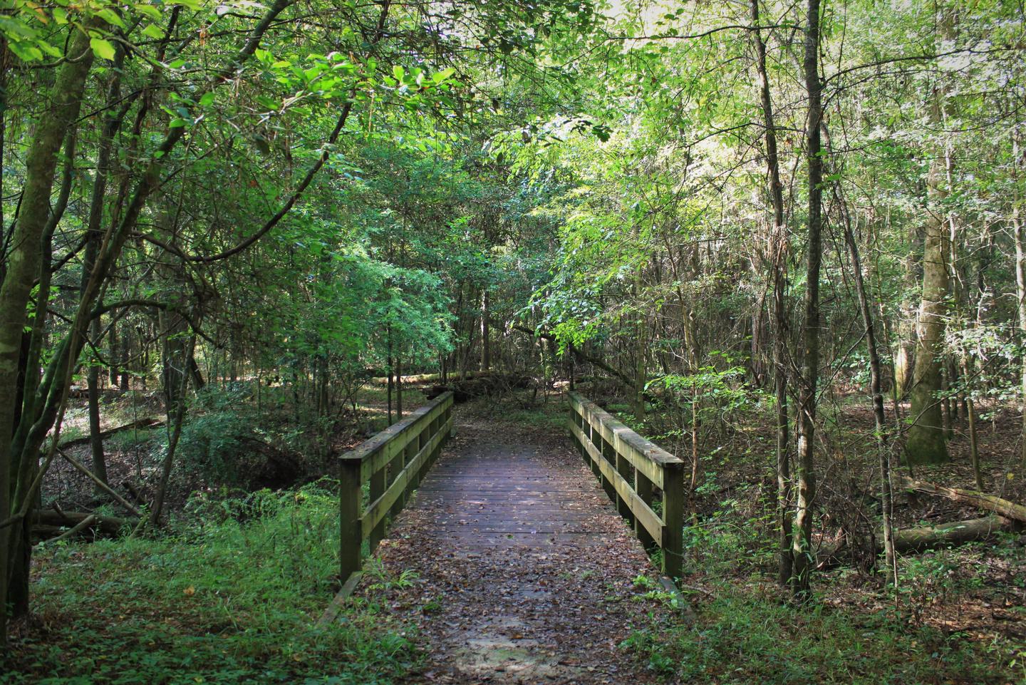 Kirby Nature Trail BridgeSmall wooden bridges guide hikers across waterways on the Kirby Nature Trail.