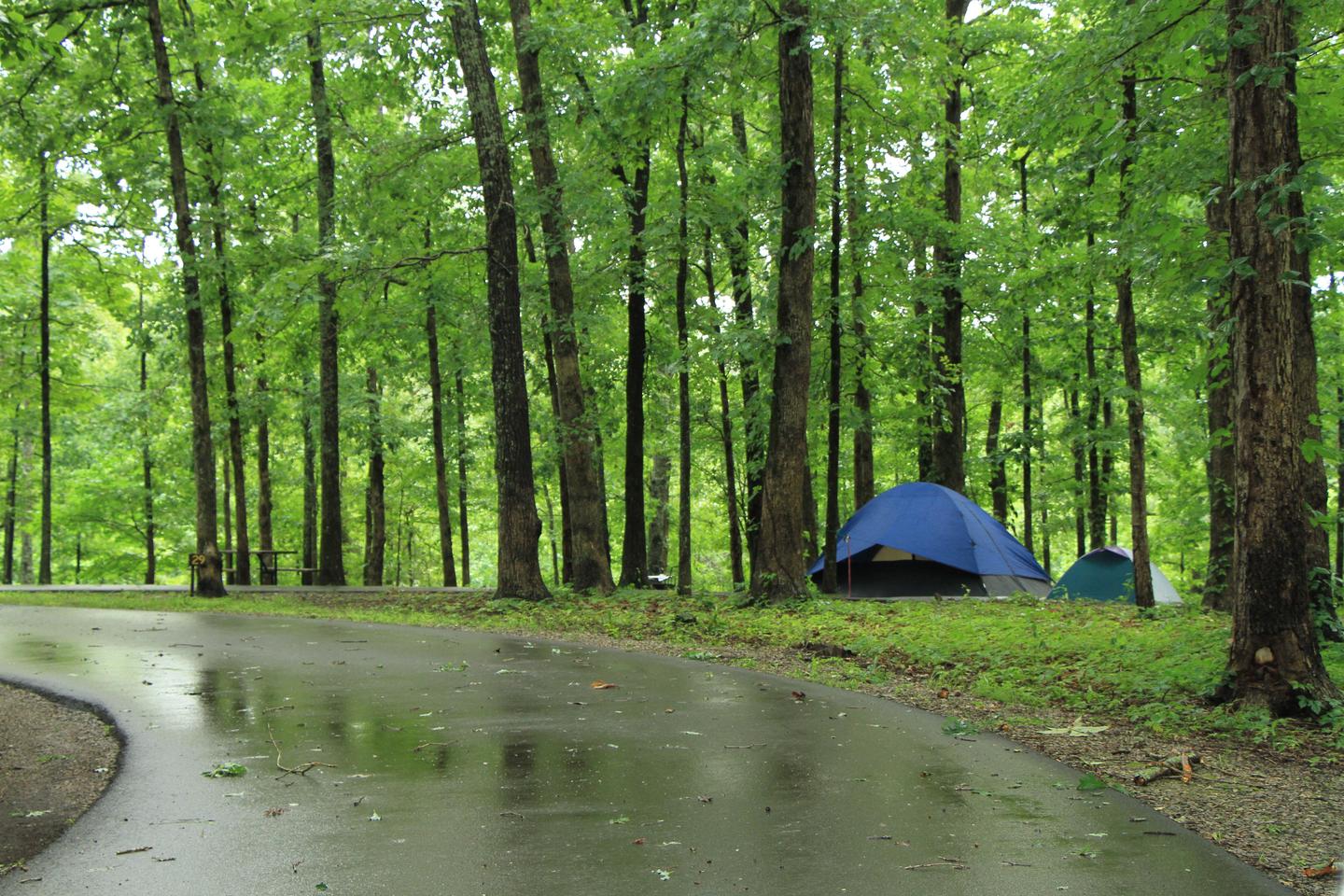 Tent camping at the Meriwether Lewis Death and Burial Site CampgroundThe campgroudn at the Meriwether Lewis site is a great basecamp for exploring the Natchez Trace Parkway in Tennessee