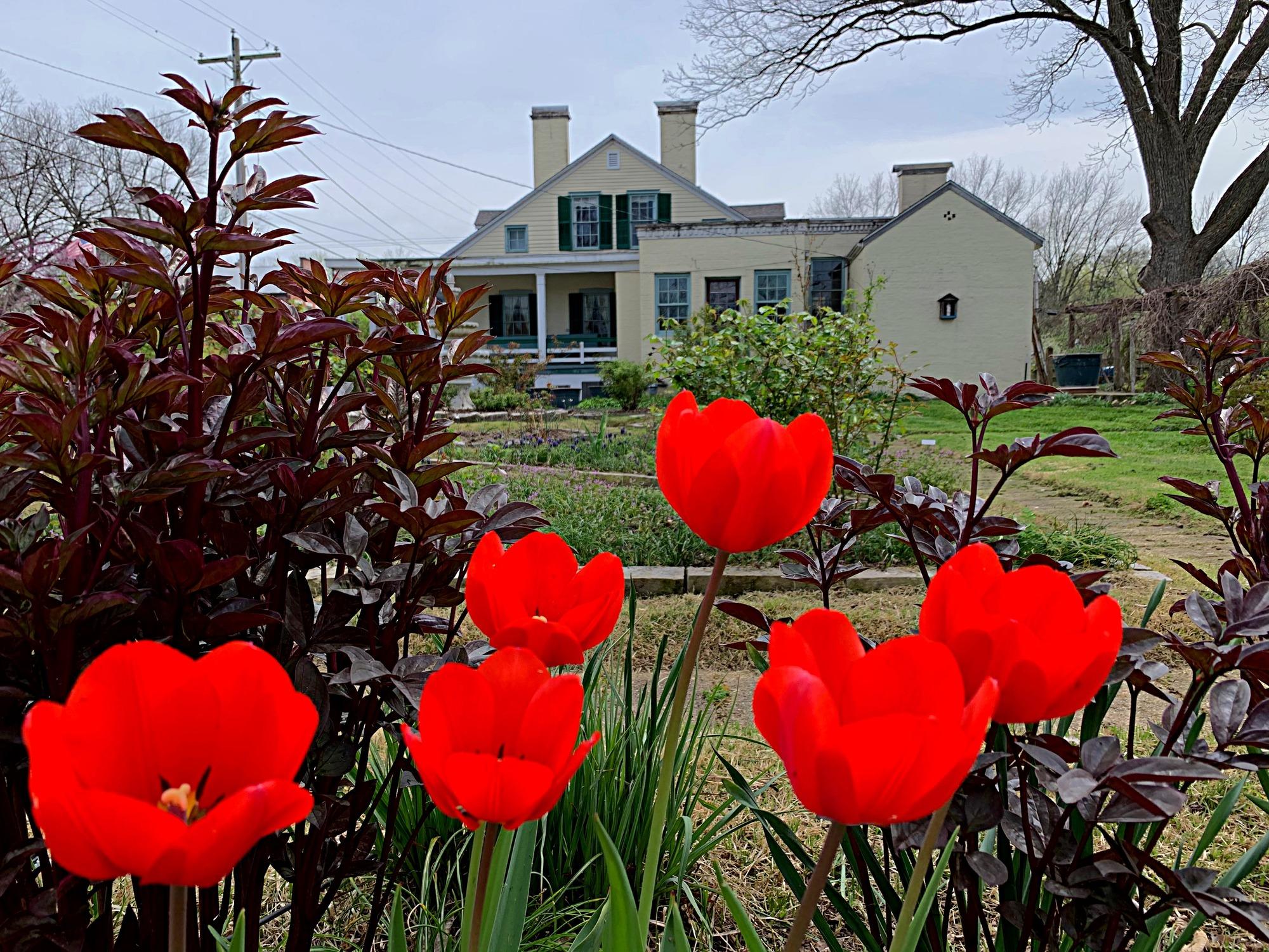 Jean-Baptiste Valle House