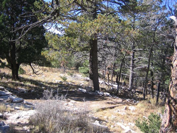 Blue Ridge Wilderness Campground, Guadalupe Mountains ...