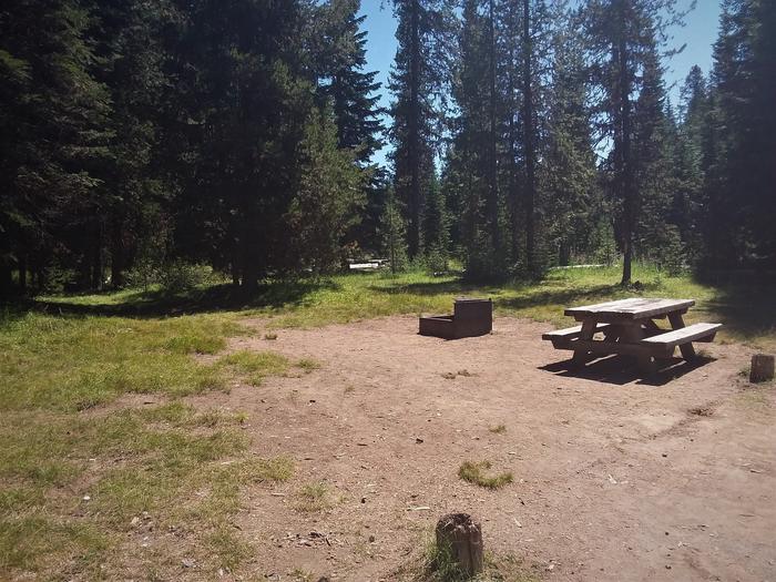 Campsite at Diamond Lake National Forest Campground, Oregon, on the way to Crater Lake Campsite at Diamond Lake Campground, Umpqua National Forest