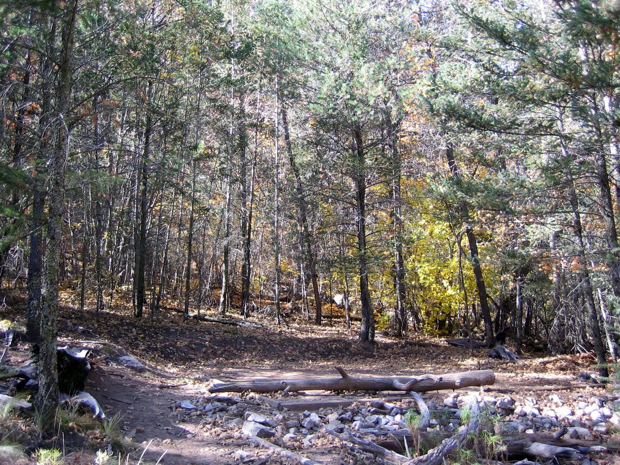 Tejas Wilderness Campground