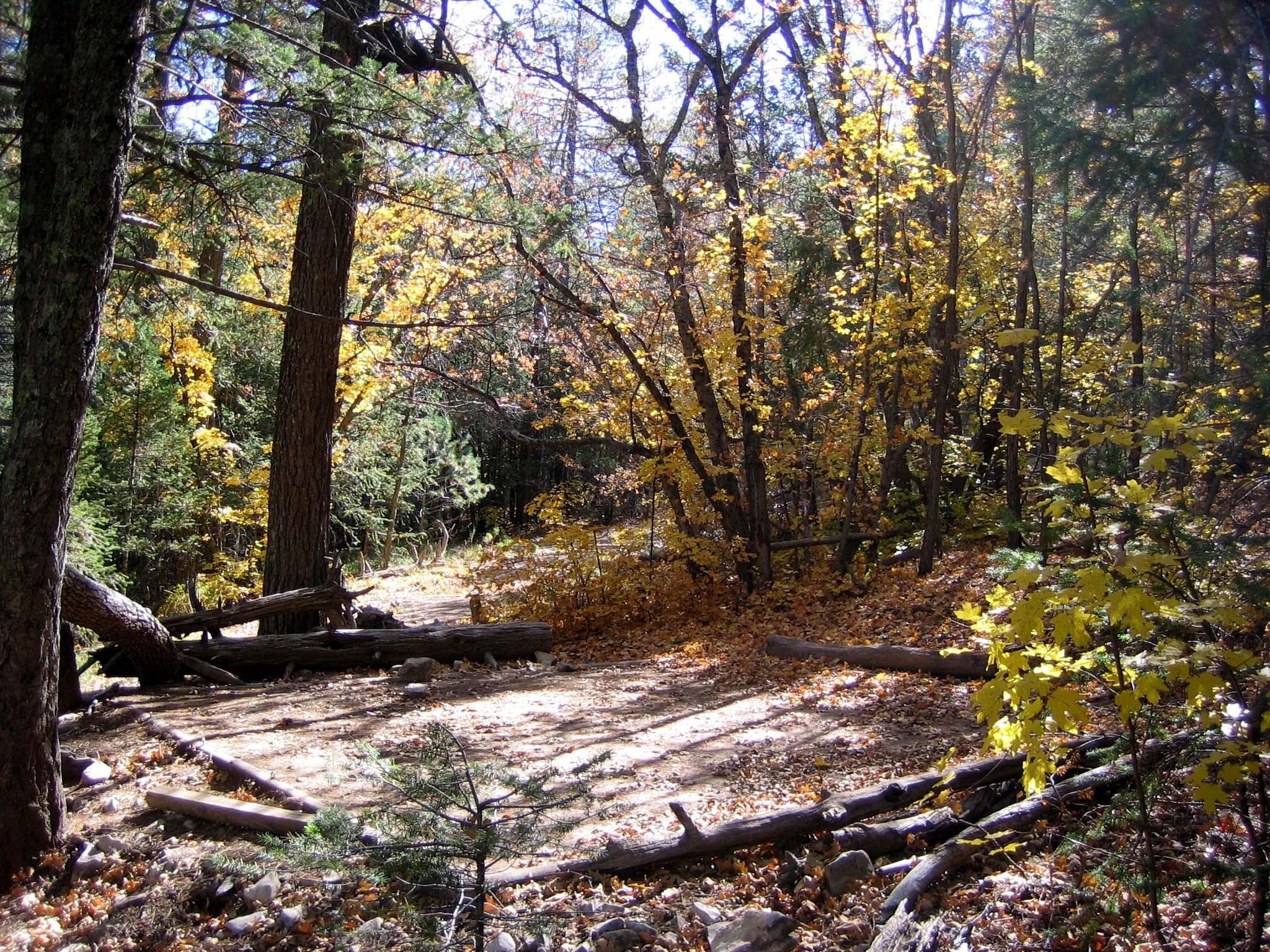 Tejas Wilderness Campground