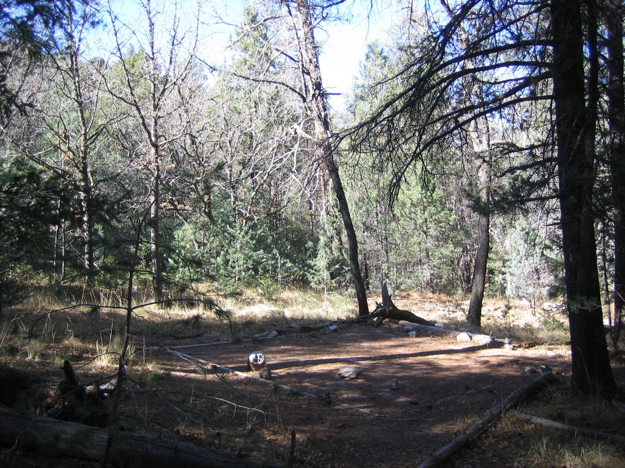 Tejas Wilderness Campground