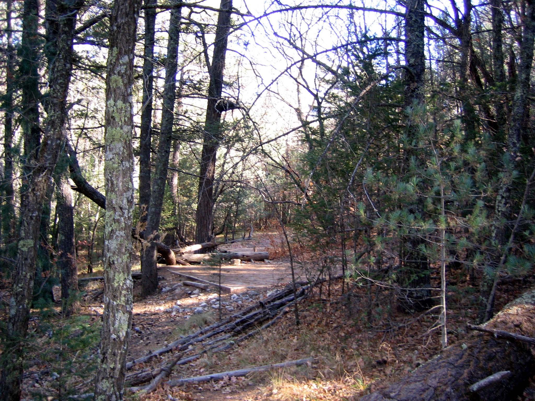 Tejas Wilderness Campground