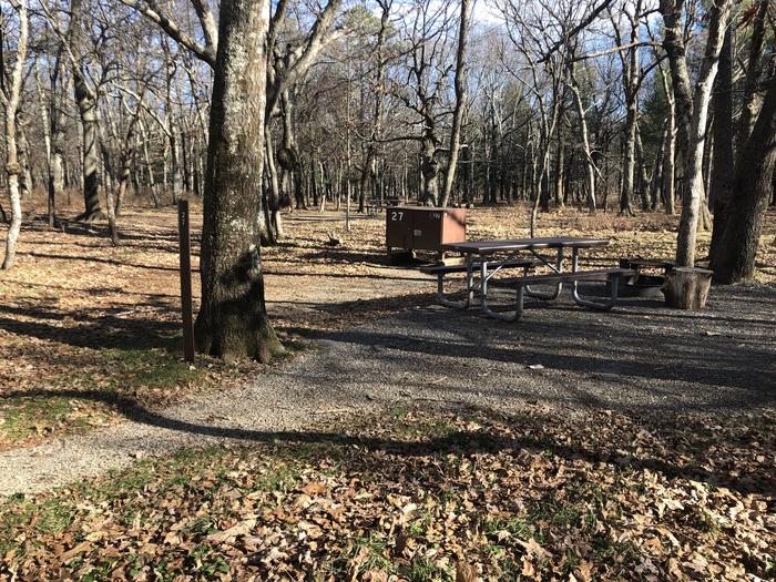 Tent only site 27; image taken on 12/21/20. Vegetation is dormant but the site does have significant shade during camping season.