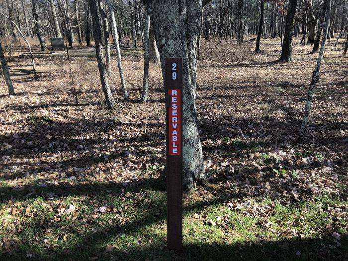 Site marker for tent only site 29; If you reserve this site, your camping pass will be attached to this site marker.  When you check out, drop your pass off at the registration office.