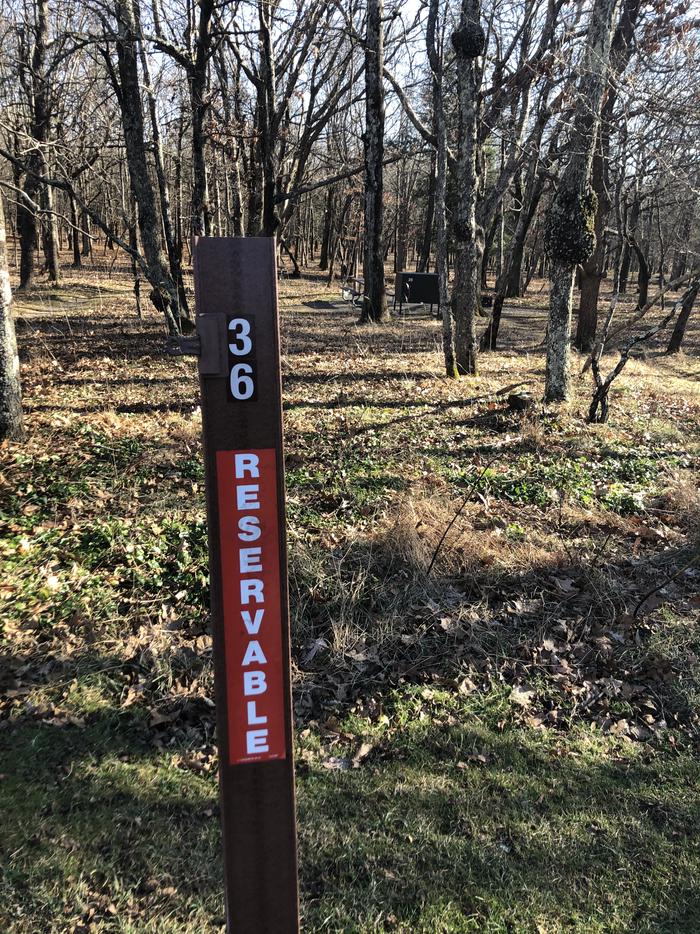 site marker for tent only site 36; If you reserve this site, your camping pass will be attached to this site marker.  When you check out, drop your pass off at the registration office.