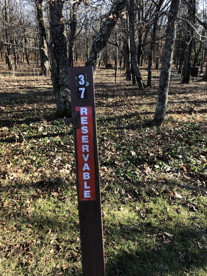 site marker for tent only site 37; If you reserve this site, your camping pass will be attached to this site marker.  When you check out, drop your pass off at the registration office.If you reserve this site, your camping pass will be attached to this site marker.  When you check out, drop your pass off at the registration office.