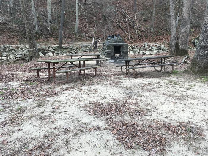 historic fireplace and picnic tablesPicnic tables and a historic fireplace along Rock Creek at Picnic Grove 8.