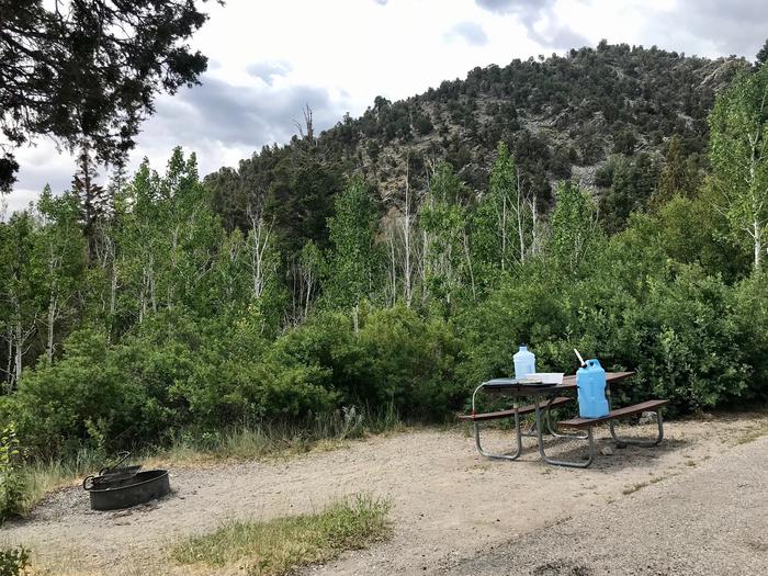 Picnic table and campfire ring with aspen trees and mountain in the backgroundLower Lehman Campground Site #5