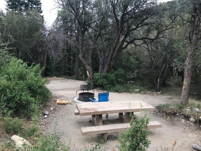 Picnic table, campfire ring and camp chair surrounded by trees and brush.Upper Lehman Campground Site #5