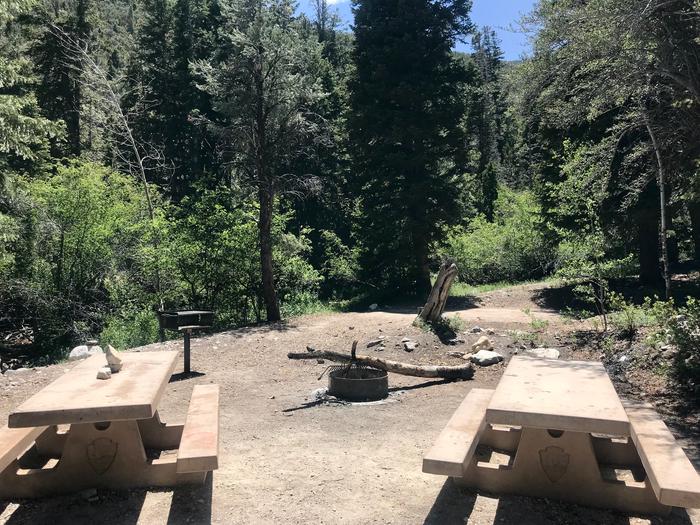 Picnic tables, campfire ring, and raised grill in full sun with conifers and blue sky in the backgroundUpper Lehman Campground Site #18