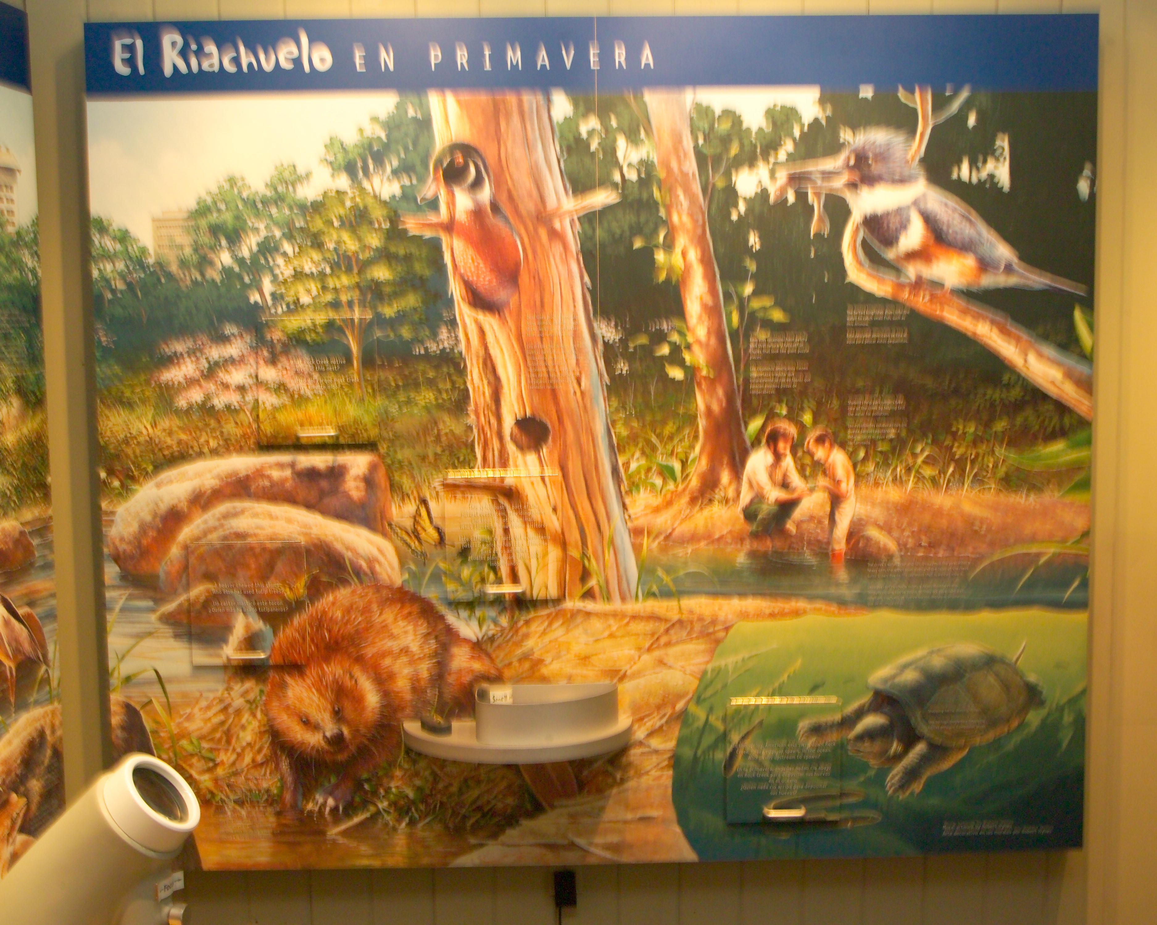 Interactive Exhibits