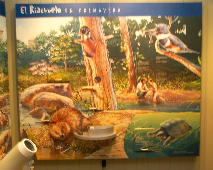 Interactive ExhibitsVisitors of all ages can interact with our Discover Rock Creek exhibit