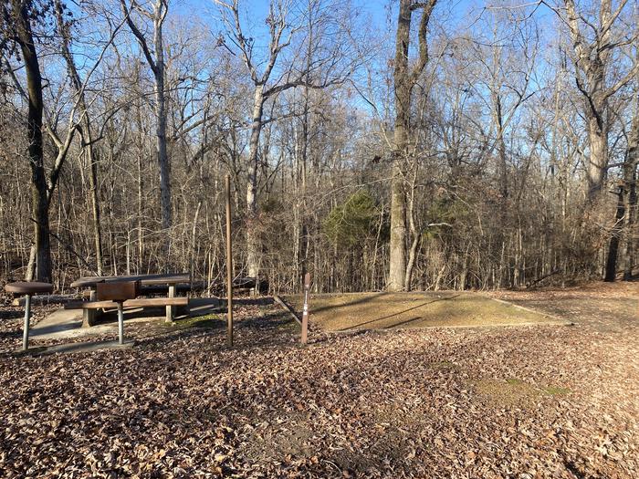 Chickasaw Hill Site 46