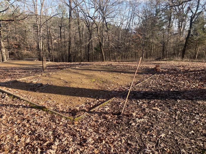 Chickasaw Hill Site 42