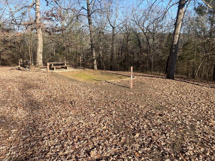 Chickasaw Hill Site 41