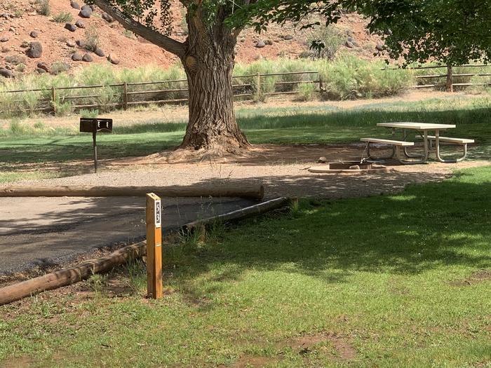 The edge of a paved driveway. A picnic table, fire pit, and grill are behind the driveway next to a large tree trunk.Site 53, Loop C in summer.
Paved Dimensions: 18' x 40'