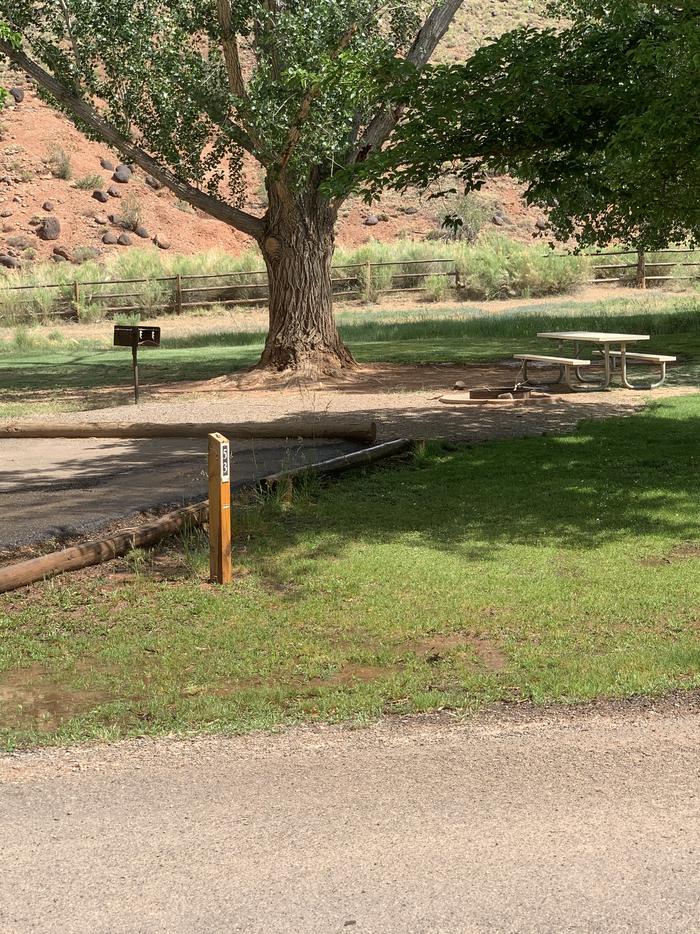 The edge of a paved driveway. A picnic table, fire pit, and grill are behind the driveway next to a large tree trunk.Site 53, Loop C in summer.
Paved Dimensions: 18' x 40'