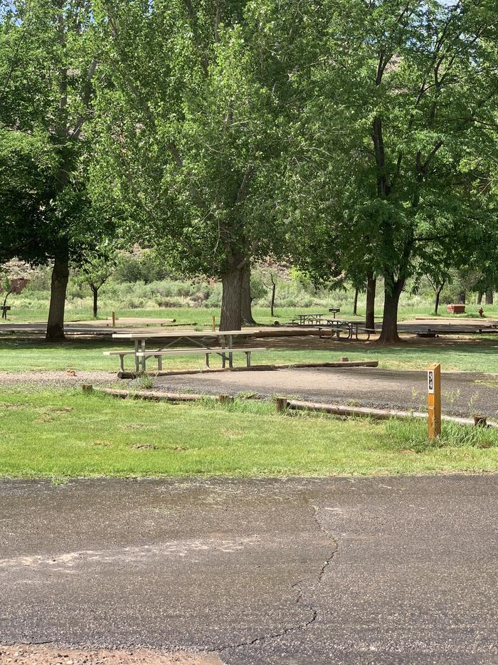 A paved driveway. A picnic table is directly behind the driveway. There are trees in the background.Site 54, Loop C in summer.
Paved Dimensions: 29' x 47'