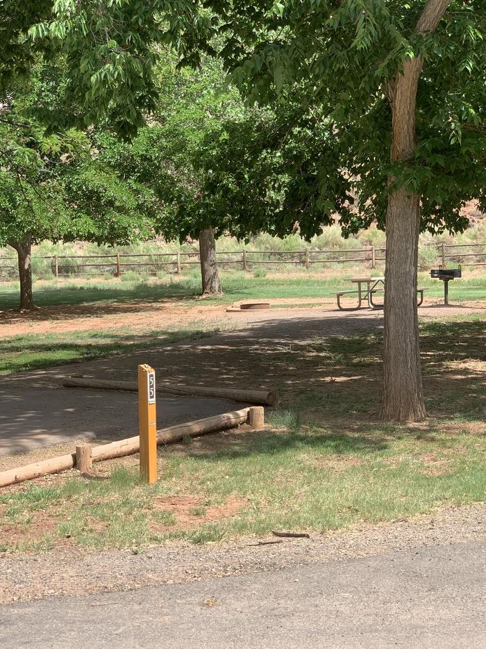 The edge of paved driveway. Well past the end of the driveway, there is a picnic table, fire pit and grill. There are two trees in the background and one tree in the foreground.Site 55, Loop C in summer.
Walk-In Tent Site.