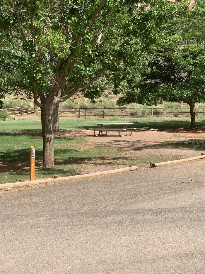 A picnic table is on a patch of dirt. The area is surrounded by grass. A few trees are in the background. A stretch of road is in the front of the image. Site 56, Loop C in summer.
Walk-In Tent Site.