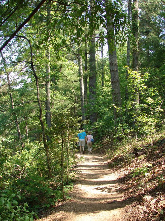 Hiking Trails in the ParkVisitors can enjoy more than five miles of hiking trails through the park.