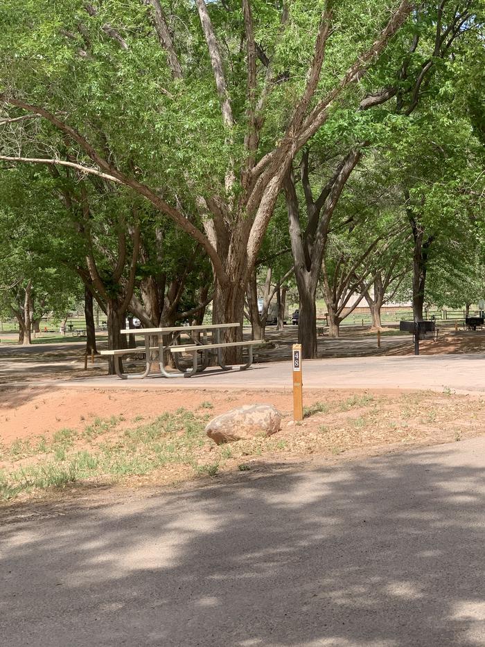 A paved driveway. Facing the end of the driveway, a picnic table is on the pavement at end. A grill is off on the right side. Many trees are in the background.Site 48, Loop B.  
Paved Dimensions: 26' x 31'
This site does not have a campfire ring.  Fire is allowed in above ground grill only.