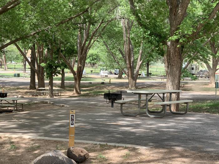 A paved driveway. Facing the end of the driveway, a picnic table is on the pavement to the right side. A grill is just off the pavement behind the picnic table. Many trees are in the background.Site 50, Loop B.
Paved Dimensions: 28' x 27'
This site does not have a campfire ring.  Cooking fires are allowed in the above ground grill only.
