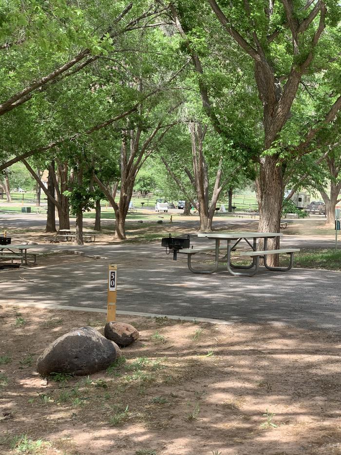 A paved driveway. Facing the end of the driveway, a picnic table is on the pavement to the right side. A grill is just off the pavement behind the picnic table. Many trees are in the background.Site 50, Loop B.
Paved Dimensions: 28' x 27'
This site does not have a campfire ring.  Cooking fires are allowed in the above ground grill only.