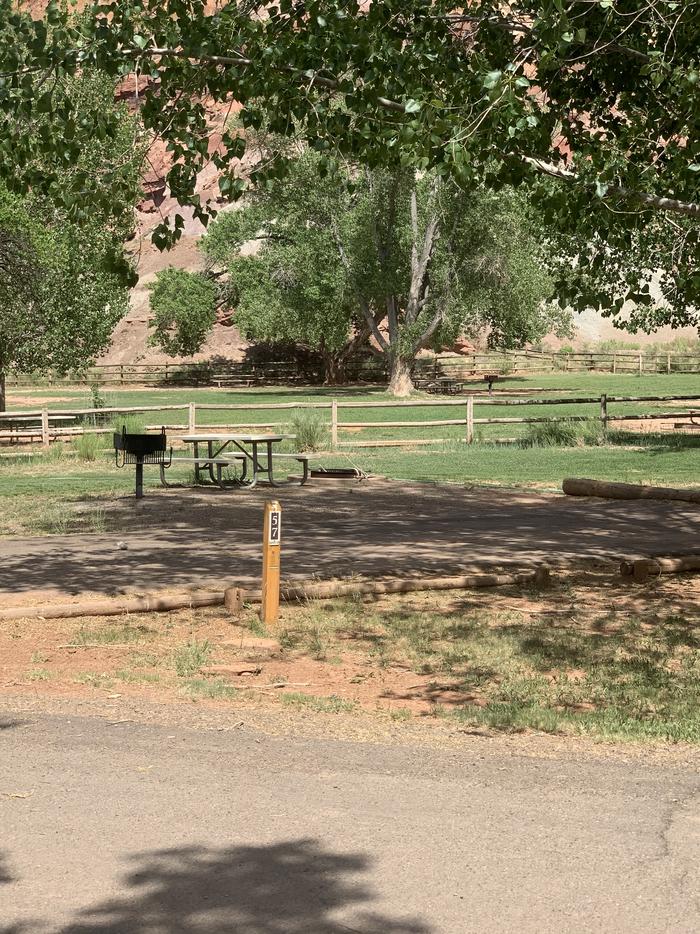 A paved driveway. Facing the end of the driveway, a picnic table, grill, and fire pit are off to the left side. A fence is behind them going across the image. There are a couple of trees in the background.Site 57, Loop C in summer.
Paved Dimensions: 19' x 50'