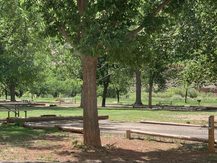 A paved driveway. A picnic table and fire pit are directly behind the driveway. A large tree is to the left of the driveway. Many trees are in the background.Site 58, Loop C in summer.
Paved Dimensions: 23' x 48'
