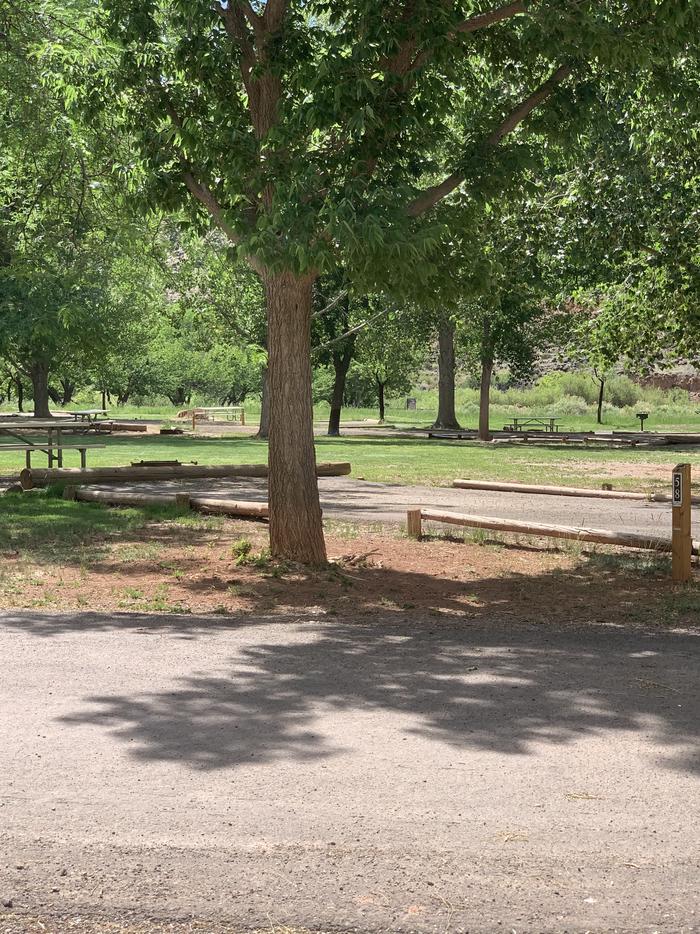 A paved driveway. A picnic table and fire pit are directly behind the driveway. A large tree is to the left of the driveway. Many trees are in the background.Site 58, Loop C in summer.
Paved Dimensions: 23' x 48'