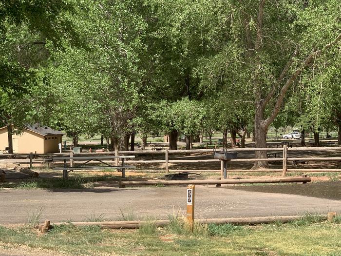 A paved driveway. Facing the end of the driveway, a picnic table, grill, and fire pit are off on the left side. A small building and many trees are in the background.Site 59, Loop C in summer.
Paved Dimensions: 27' x 45'