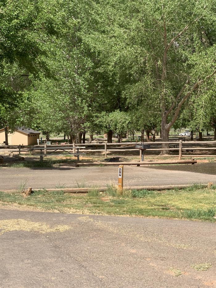 A paved driveway. Facing the end of the driveway, a picnic table, grill, and fire pit are off on the left side. A small building and many trees are in the background.Site 59, Loop C in summer.
Paved Dimensions: 27' x 45'