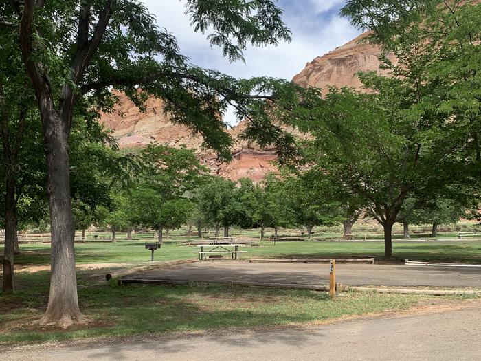 A paved driveway. Facing the end of the driveway, a picnic table, fire pit, and grill are off on the left side. A tree is off to the right side. There are many trees in the background and red-colored cliffs rise above the tree tops.Site 70, Loop C in summer.
Paved Dimensions: 28' x 45'
