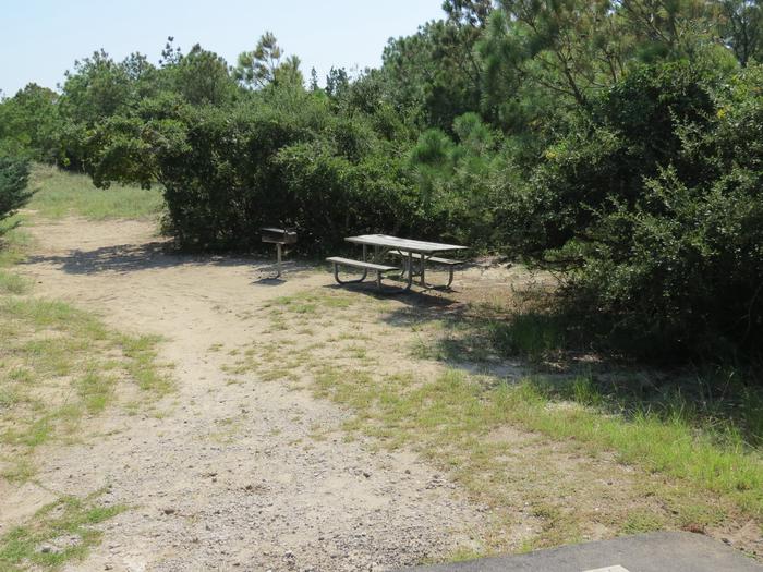 View of grill/picnic table