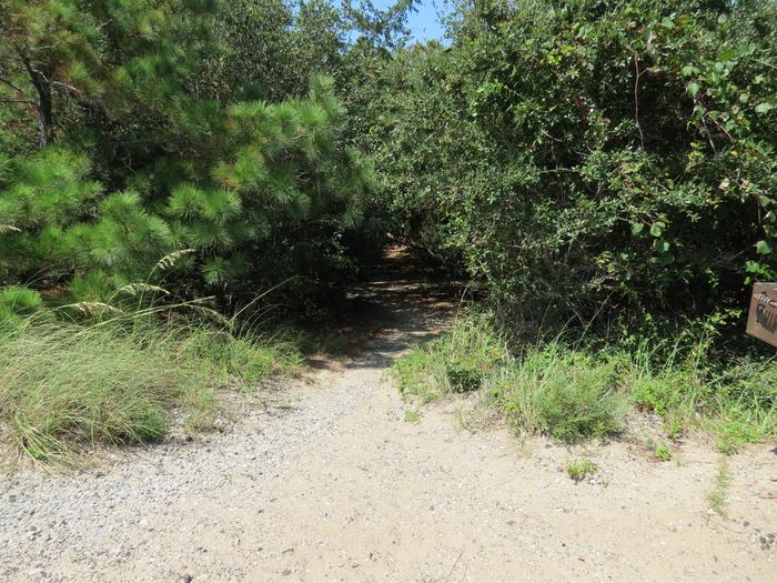 Short trail to tent sites