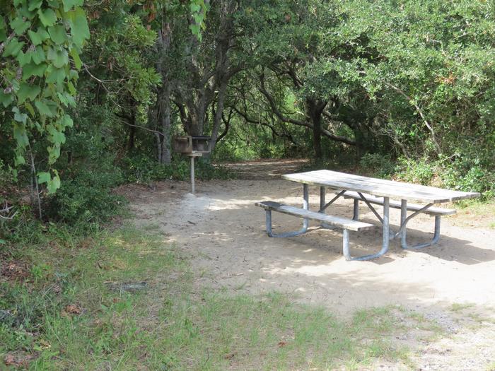 View of picnic table and grill