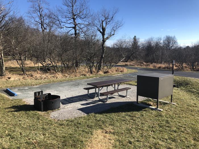 ADA Accessible site A63 A63 has a raised fire pit and extended picnic table to accommodate those with accessibility needs.