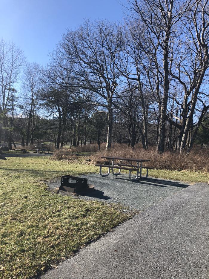 Site A75; image taken on 12/21/20Site has a driveway, tent pad, picnic table, and fire pit. 