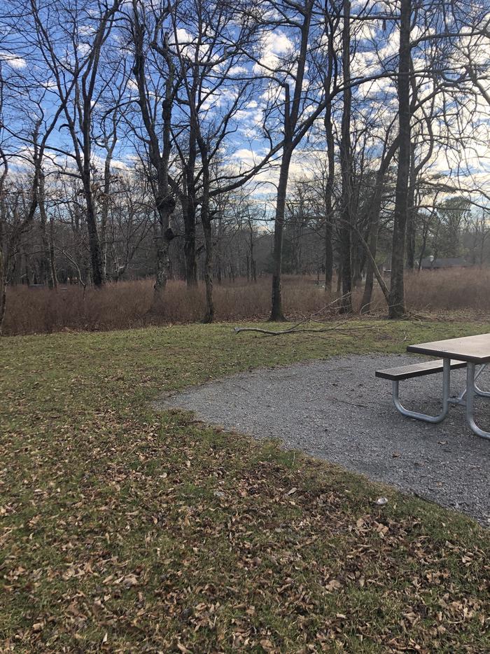 A87; image taken on 12/21/20Site has a driveway, tent pad, picnic table, and fire pit. 