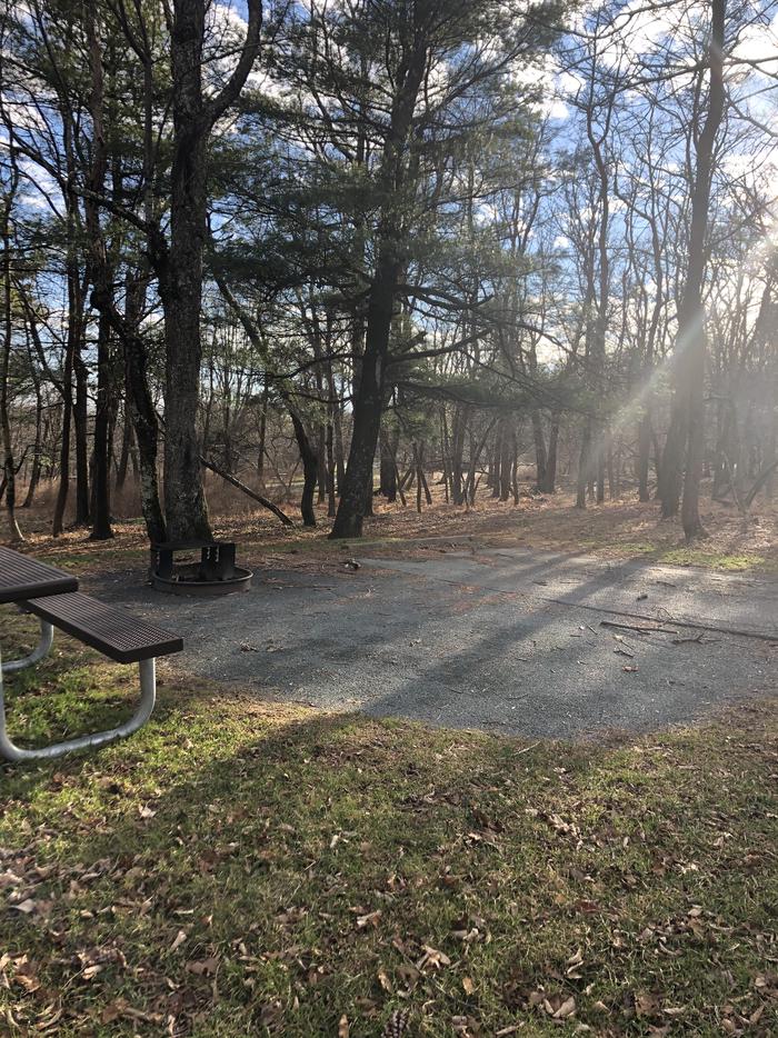 A104; image taken on 12/21/20Site has a driveway, tent pad, picnic table, fire pit, and food storage box. 