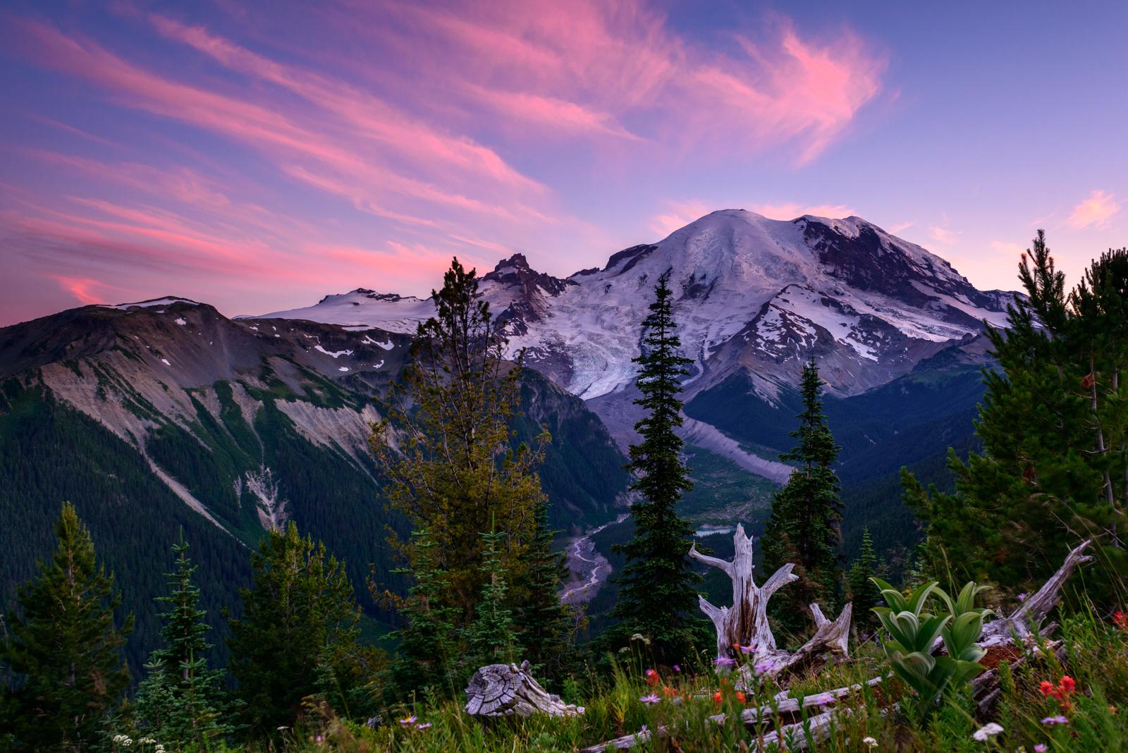 Mount Rainier National Park - Silver Forest Sunset - Credits: JD Hascup Photo