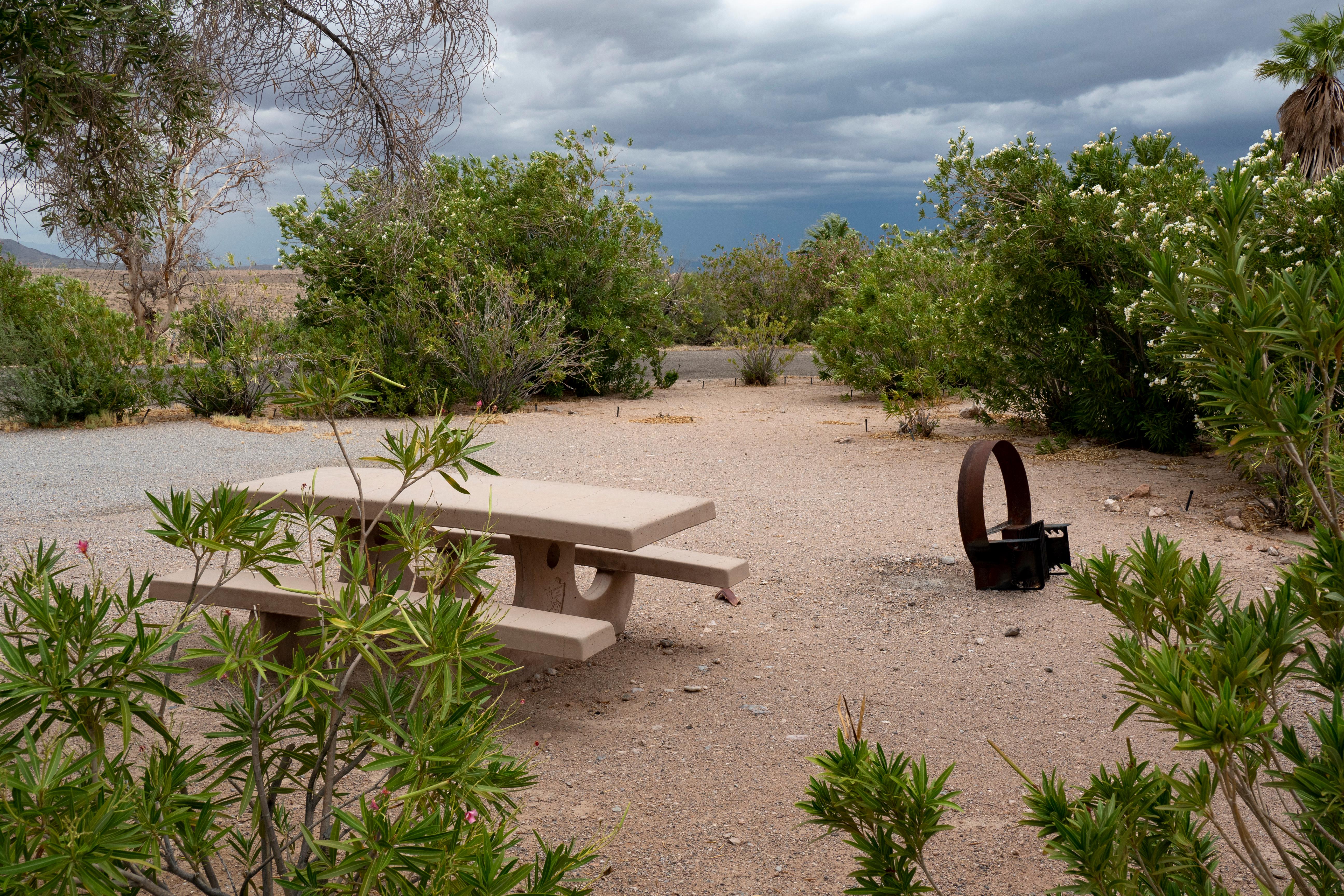 Valley of Fire BLM Dispersed — Overton, Nevada dispersed campsite